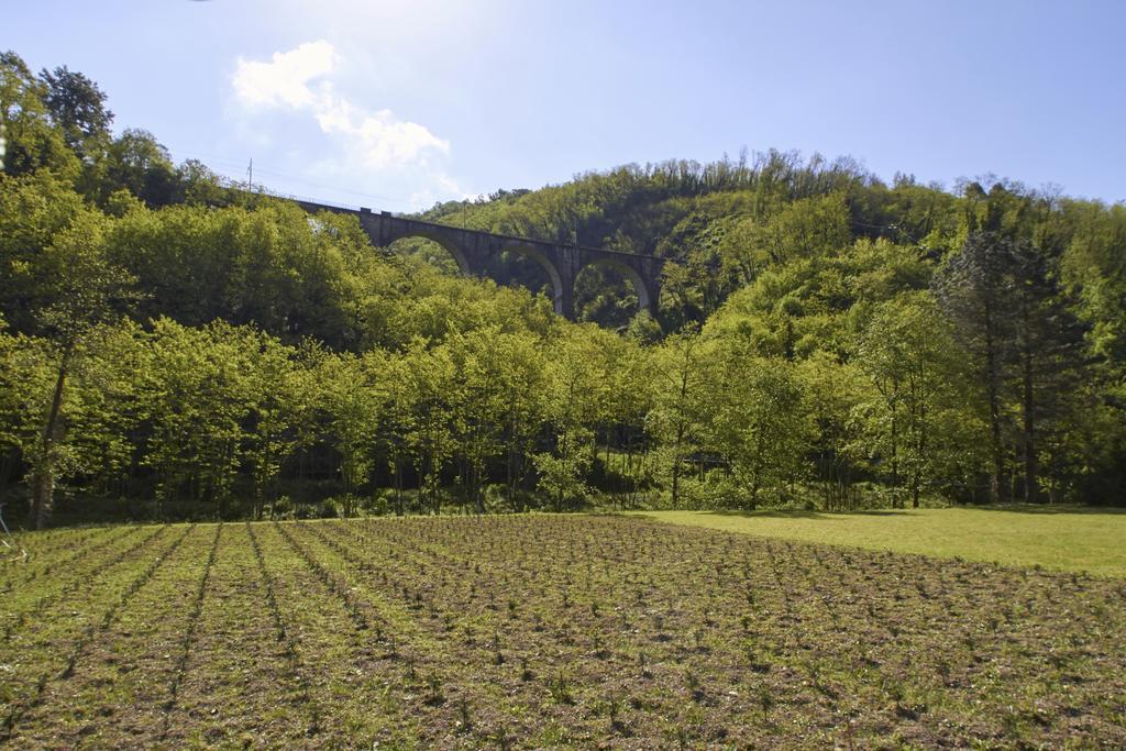 Podere Campofossato Pistoia Exterior photo