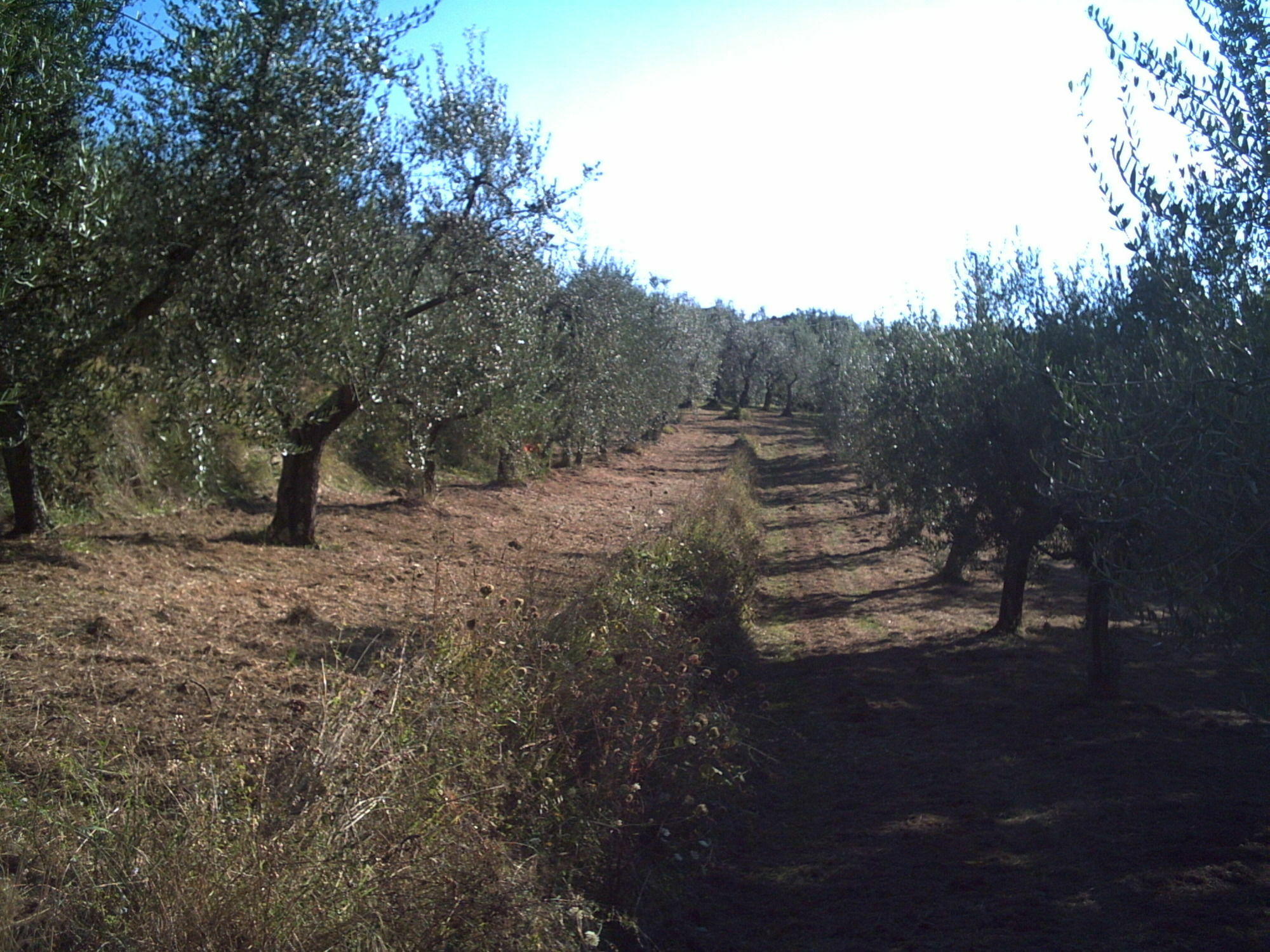 Podere Campofossato Pistoia Exterior photo